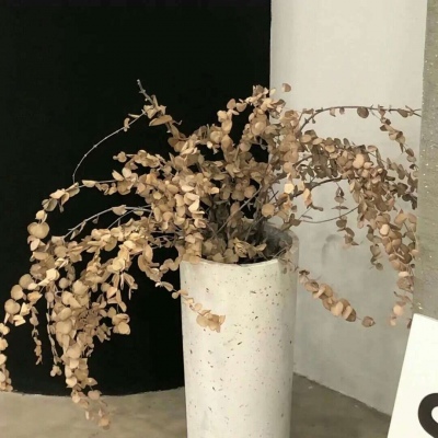 景东福瑞交流群